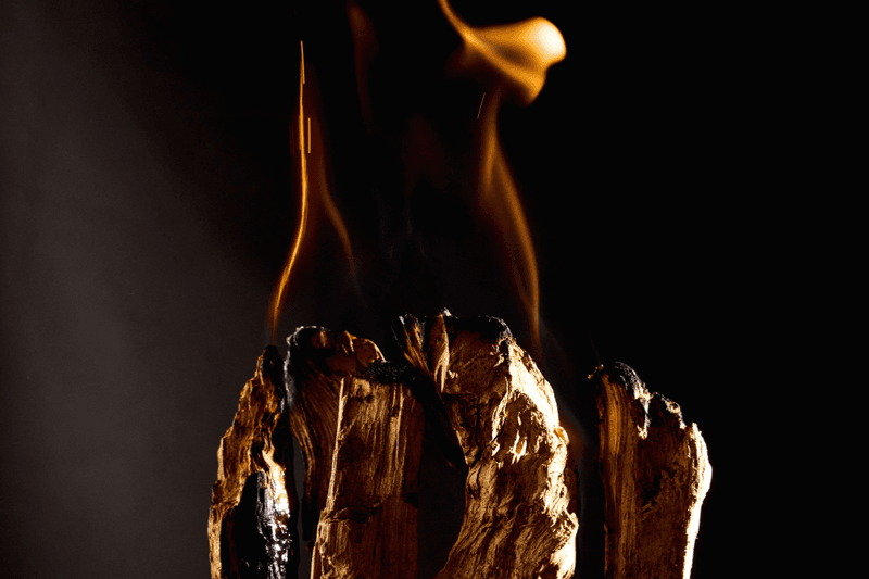 LOEWE Diptyque Atelier Maison Crivelli SMN EX NIHILO new Perfumes 2025 spring