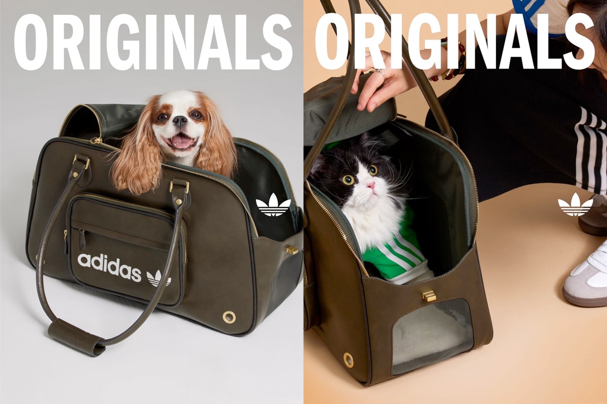 adidas originals pet cloth bag release adicolor