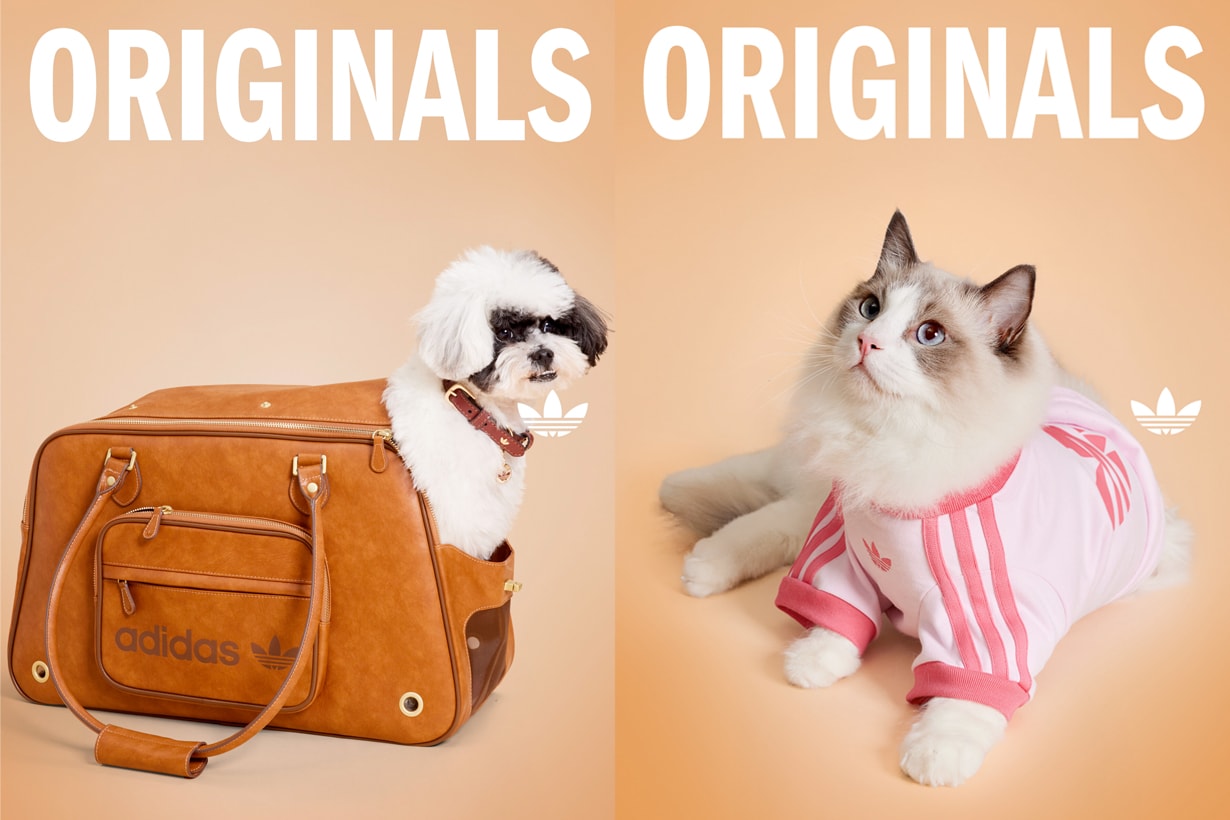 adidas originals pet cloth bag release adicolor