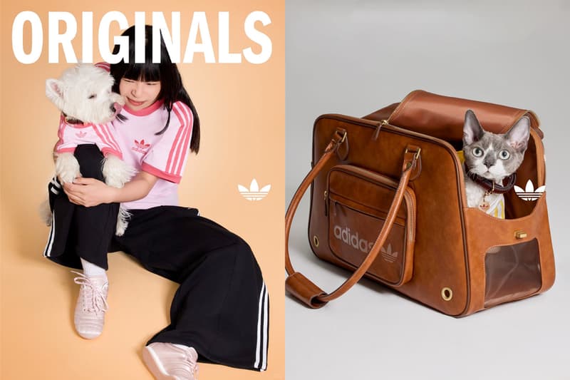adidas Originals 推出寵物系列:項圈、外出袋... 讓人想全打包!終於可以一起親子裝!