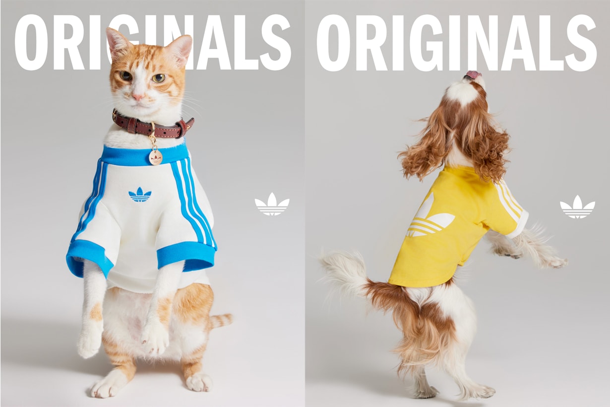 adidas originals pet cloth bag release adicolor