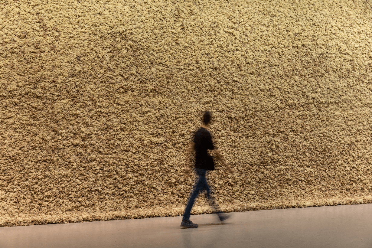Icelandic-Danish artist Olafur Eliasson first major exhibition in Taiwan
