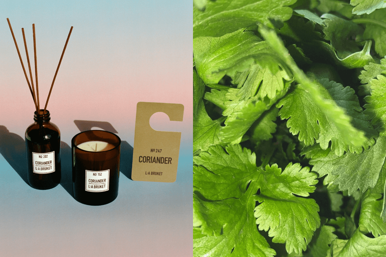 La Bruket Coriander Room Diffuser Scented Candle Fragrance Tag