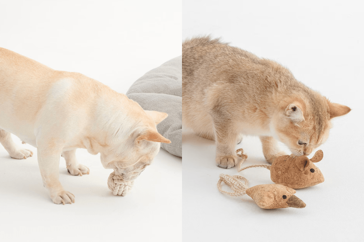 MUJI pet products release info