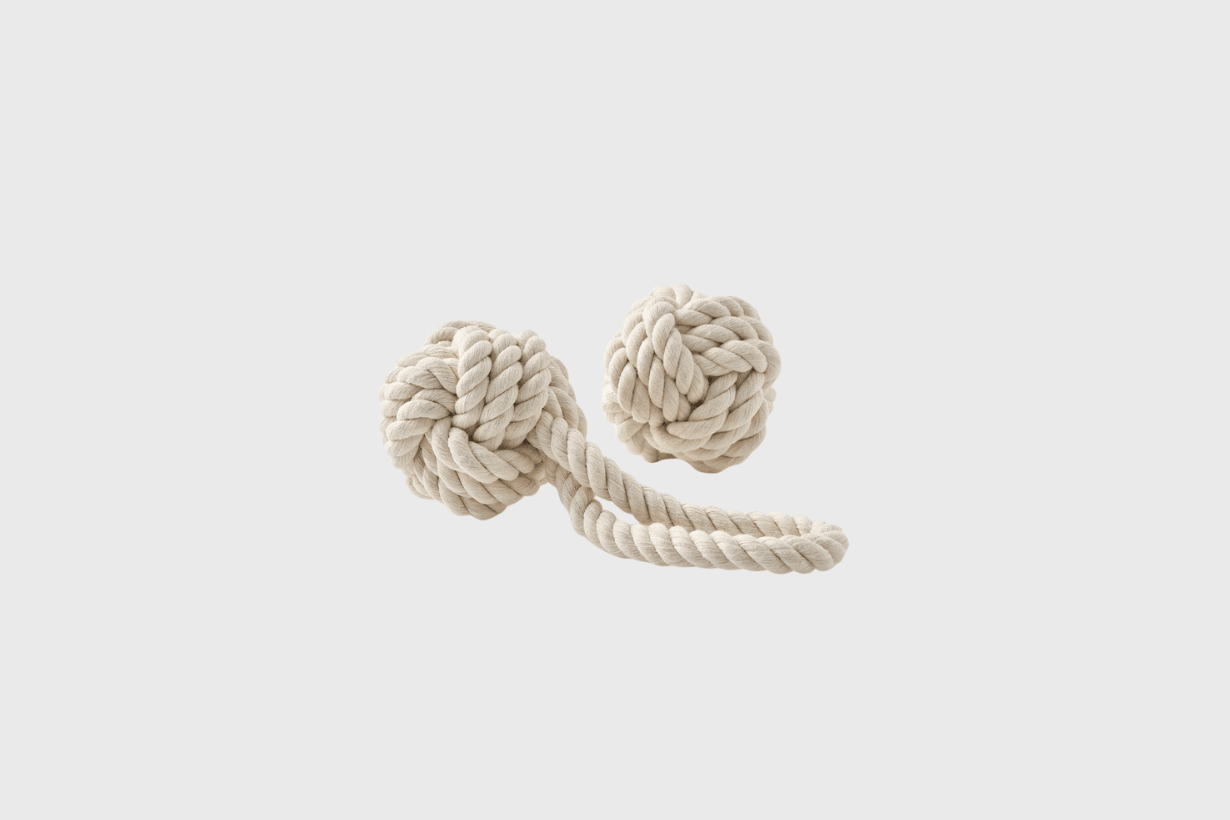 MUJI pet products release info