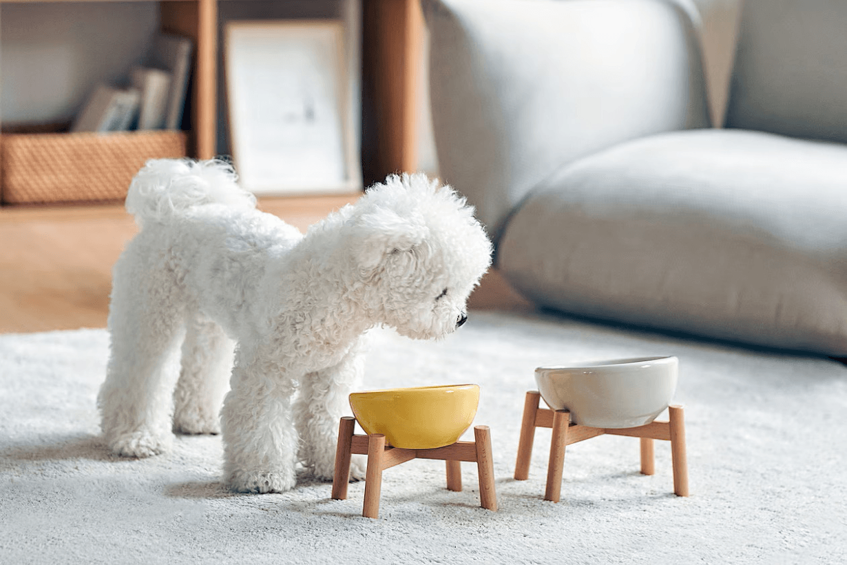 MUJI pet products release info