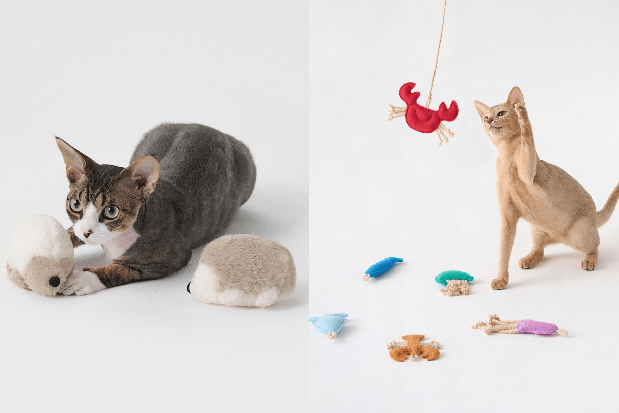 MUJI pet products release info