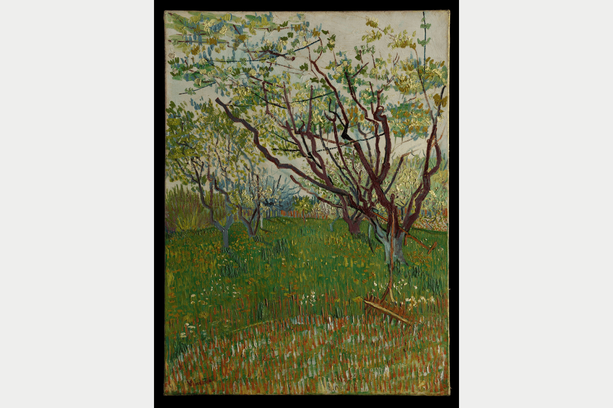 The Met national palace museum from impressionism to early modernism