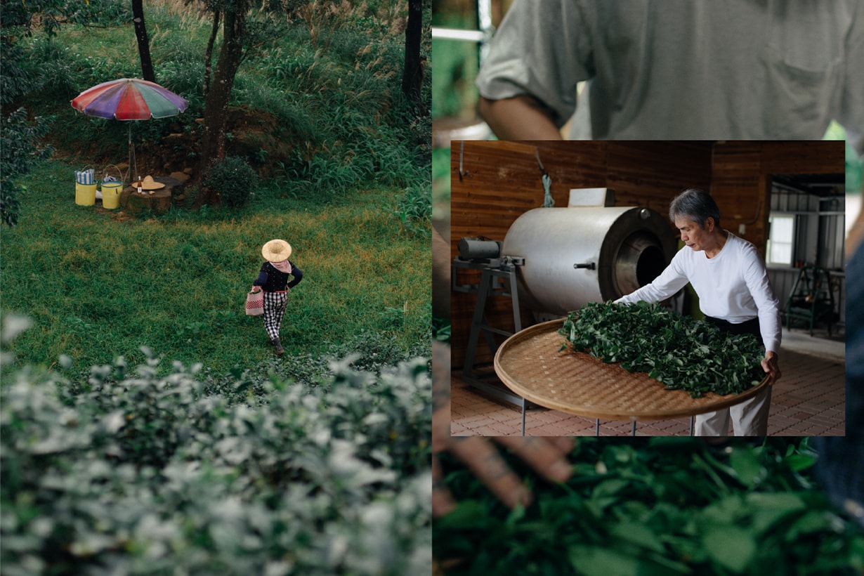 ChaJiu by S.C Lab tea farm to bottle LA Spirits Awards 