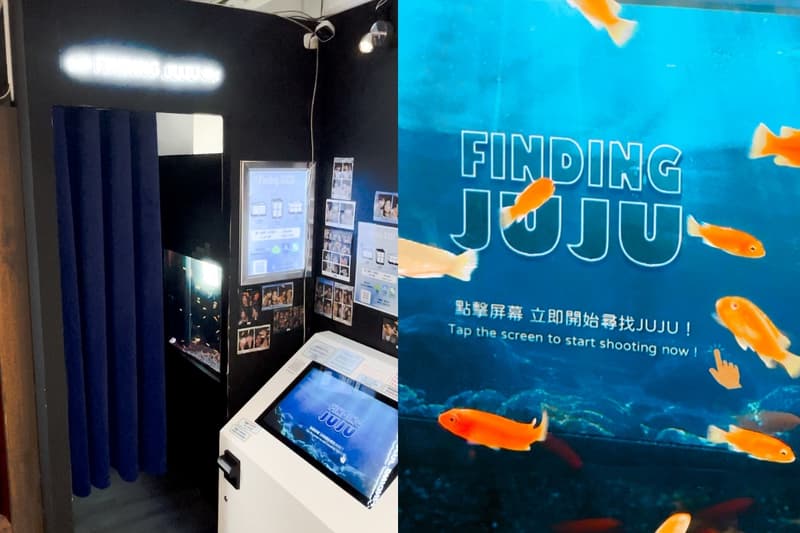 Finding Juju：韓國超人氣的魚缸自拍館登陸香港！