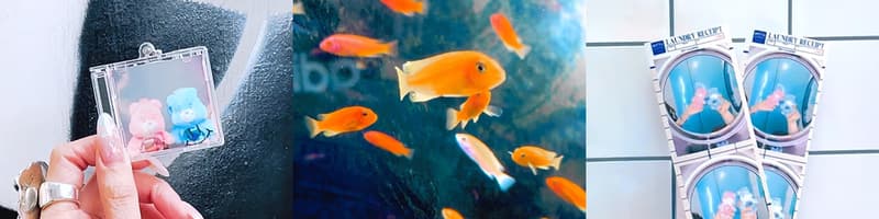 POPBEE 路線推介：光拍照已不能滿足我們，一次體驗 3 款特色「人生四格」