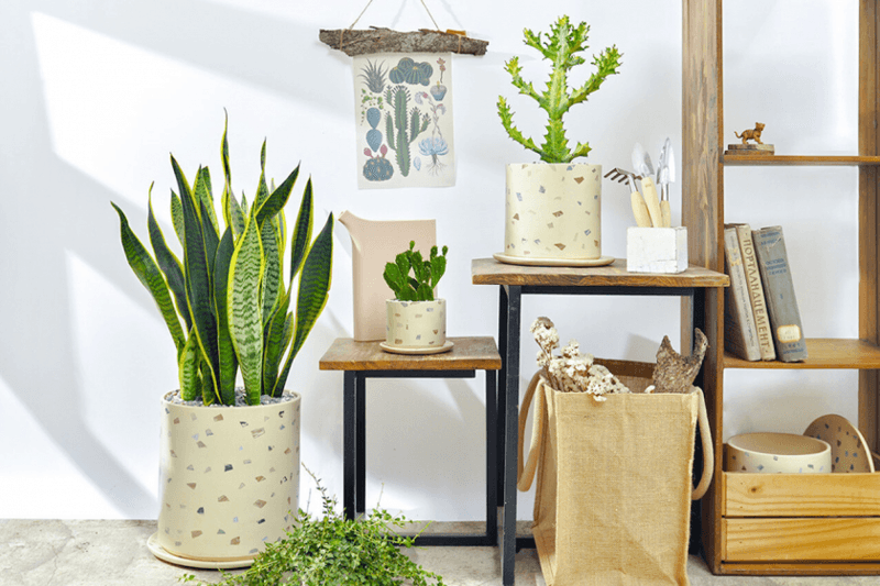 親友搬新家該送什麼？最受歡迎的「入厝禮物Top10」，這些禁忌千萬不能踩！