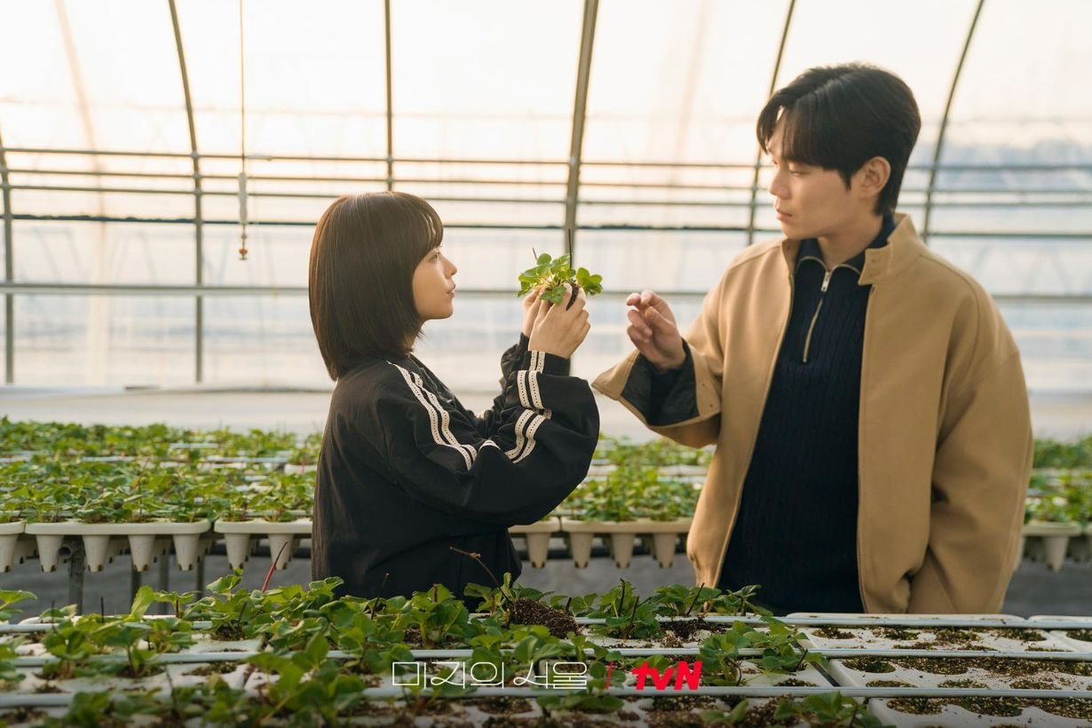 2025 IMDb Best Korean Drama top 10 k-drama