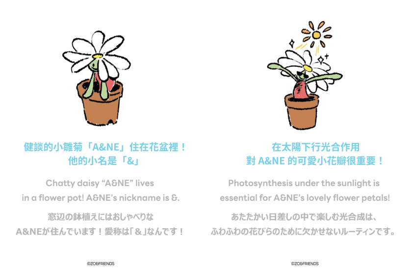 愛貓聯名周邊來了!厭世灰貓 ZOA 玩偶、小雛菊 A&NE 公仔... ZO&FRIENDS 必買搶先看