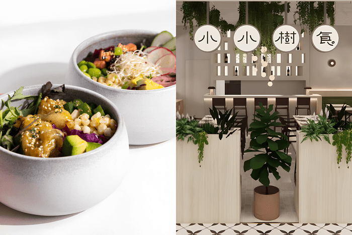 小小樹食新菜單:亞洲家常料理上桌,全天候都能吃到美味蔬食!