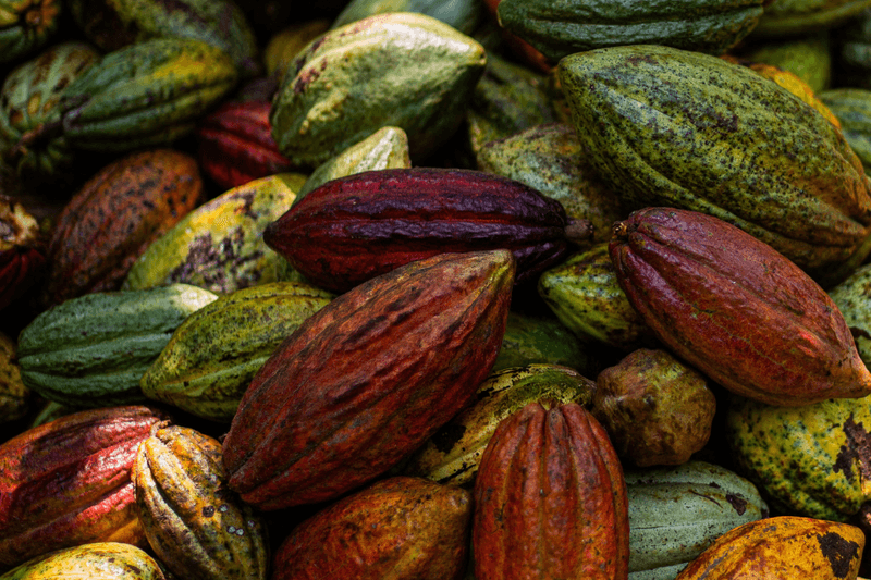 Maison Pierre Marcolini Taiwan open