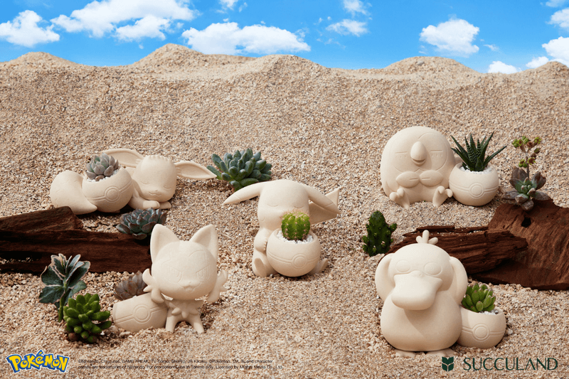 SUCCULAND x Pokemon Succulent plants potted Collaboration