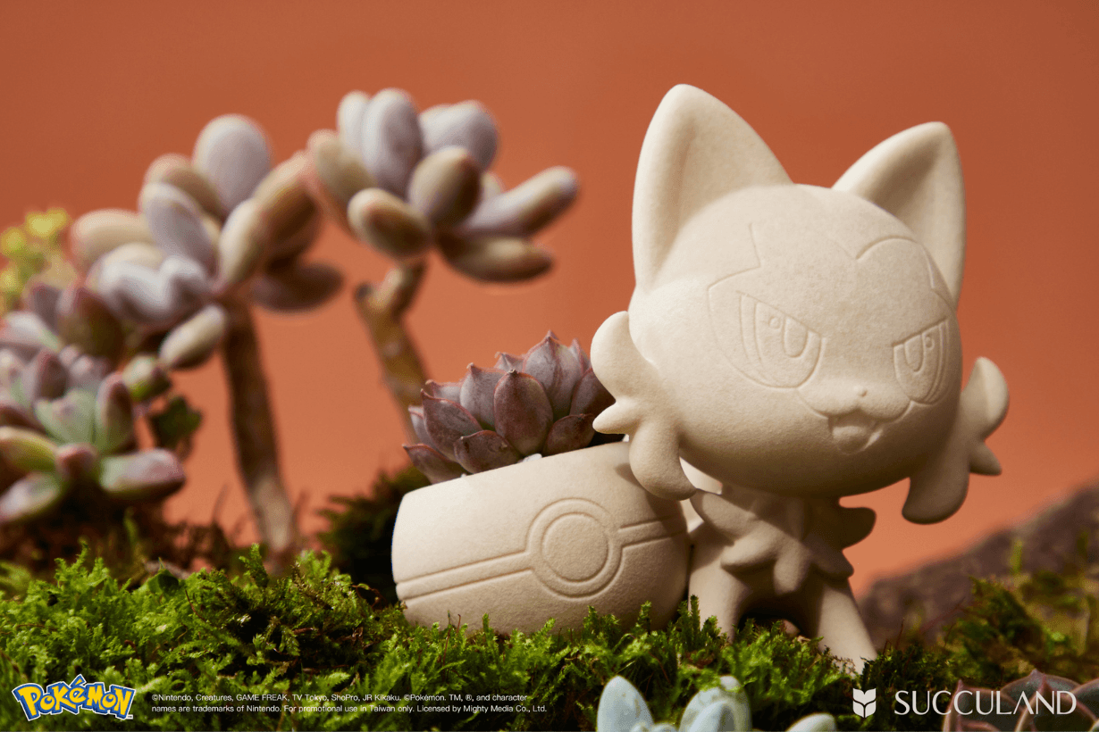 SUCCULAND x Pokemon Succulent plants potted Collaboration