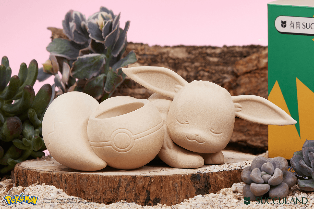 SUCCULAND x Pokemon Succulent plants potted Collaboration