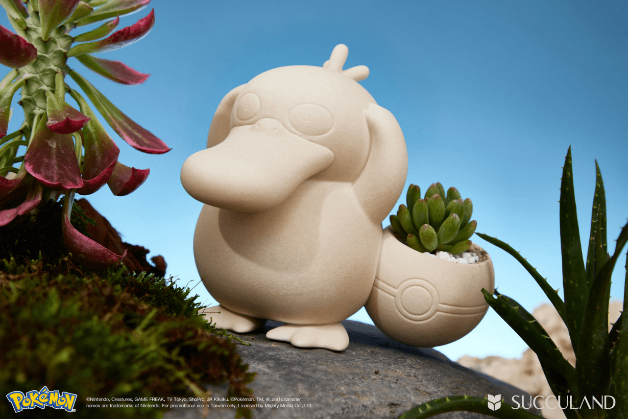 SUCCULAND x Pokemon Succulent plants potted Collaboration