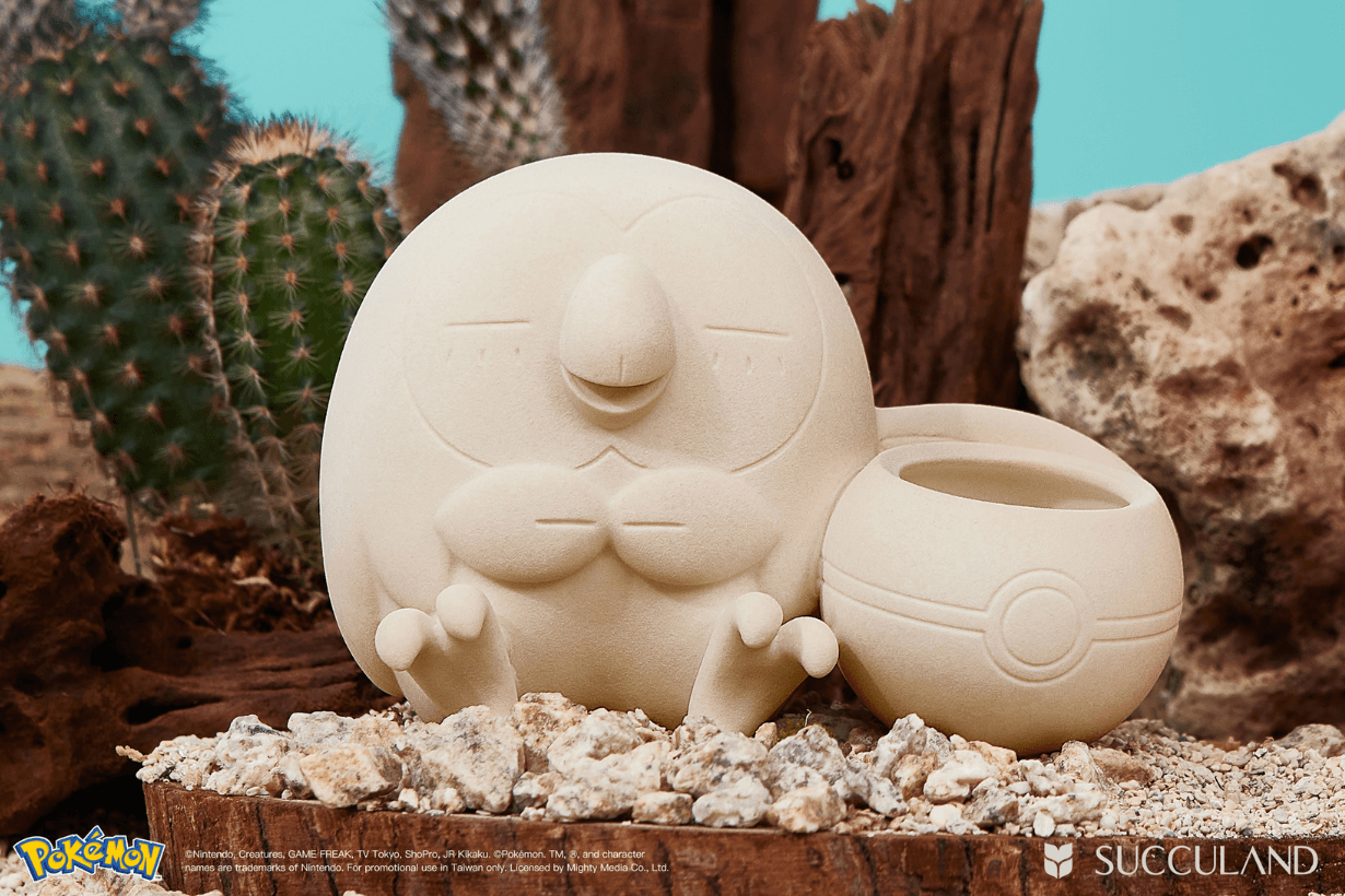 SUCCULAND x Pokemon Succulent plants potted Collaboration