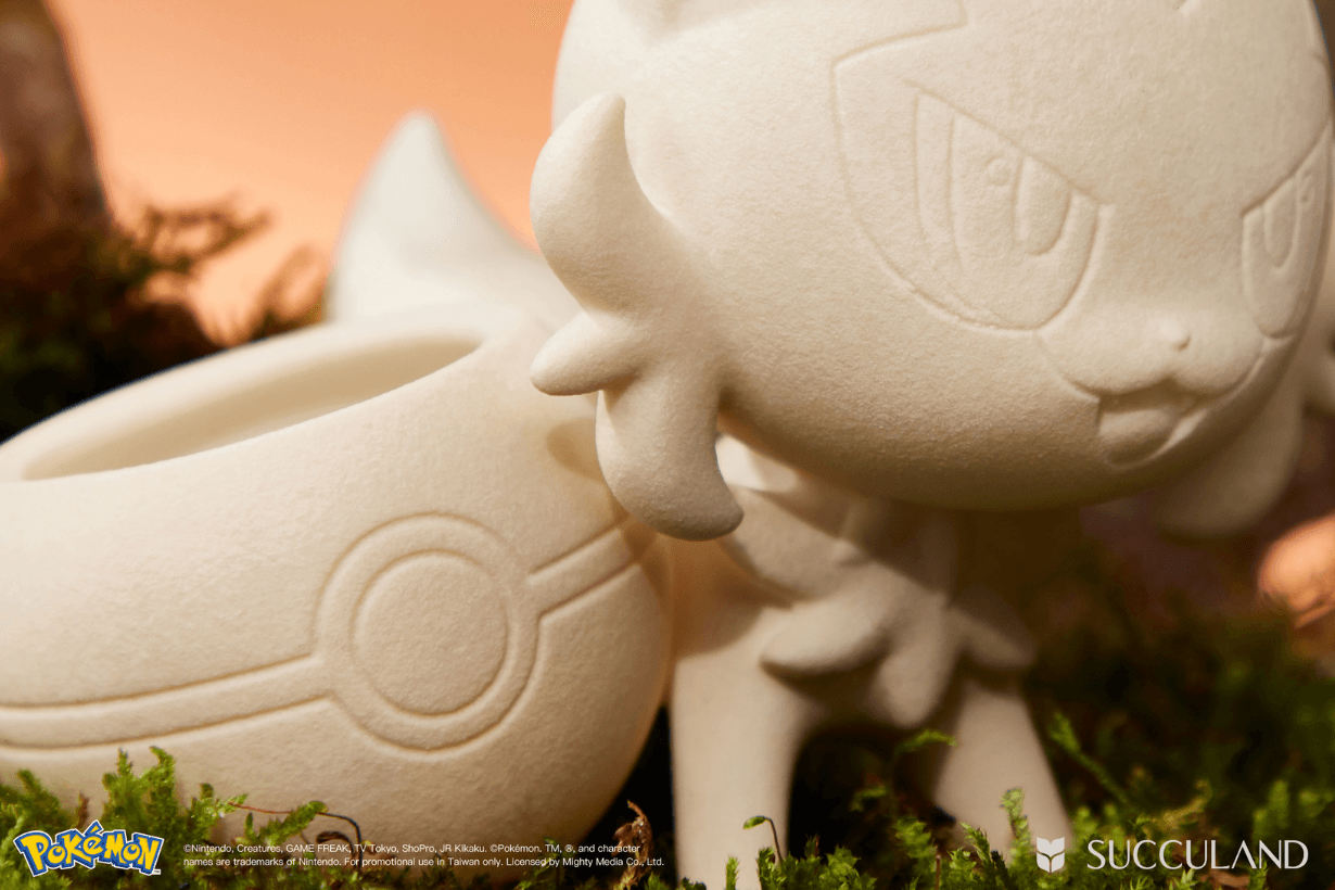 SUCCULAND x Pokemon Succulent plants potted Collaboration