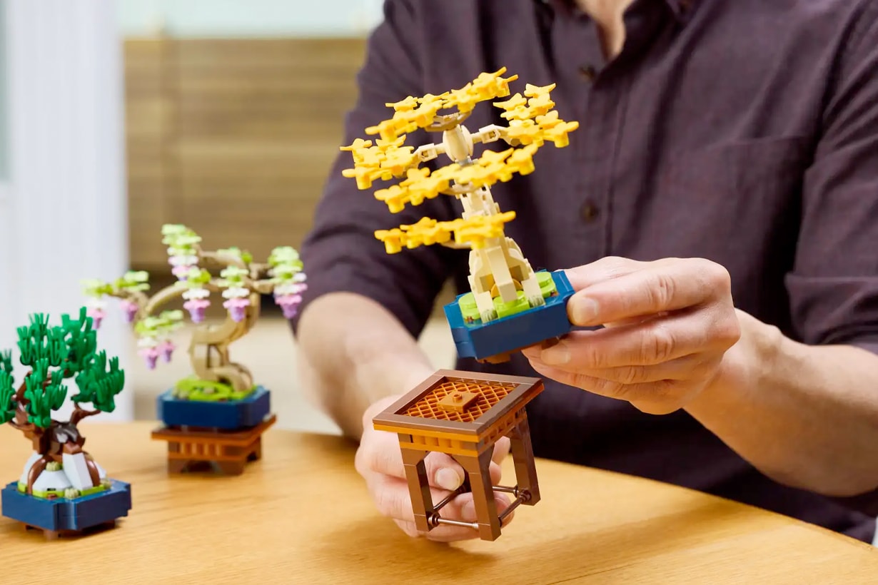 lego Botanical 10373 Mini Bonsai Trees set release