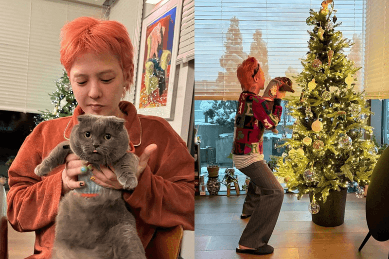 愛貓聯名周邊來了！厭世灰貓 ZOA 玩偶、小雛菊 A&NE 公仔... ZO&FRIENDS 必買搶先看