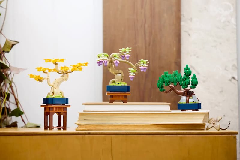 LEGO 植物系列元祖：不只松樹，還有銀杏、紫藤... 一盒擁有 3 株療癒盆景樹！