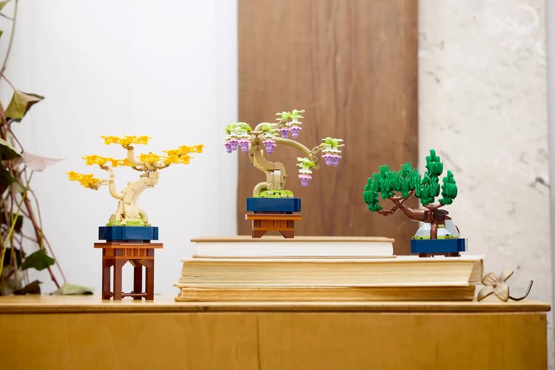 LEGO 植物系列元祖：不只松樹，還有銀杏、紫藤... 一盒擁有 3 株療癒盆景樹！