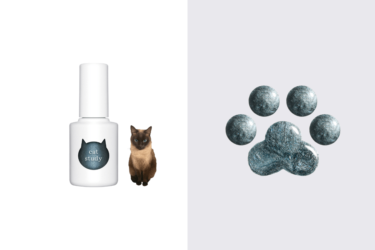 uka Cat Study nail polish release info 2025