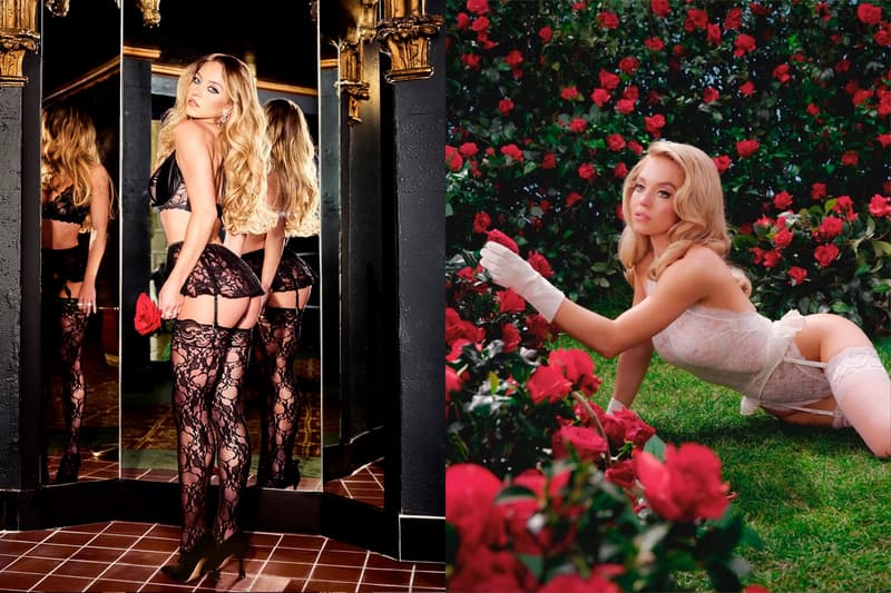 sydney sweeney lingerie brand rumor bezos invest