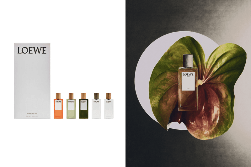 一次入手人氣香水迷你版：LOEWE 首次推出香氛禮盒，不用再猶豫該買哪一款！