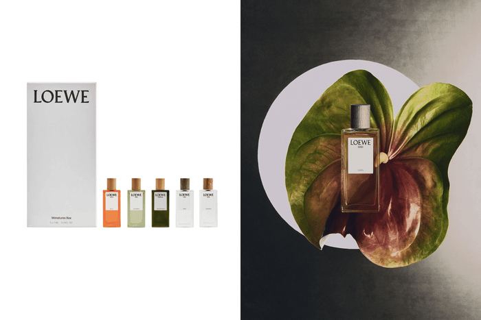 一次入手人氣香水迷你版:LOEWE 首次推出香氛禮盒,不用再猶豫該買哪一款!