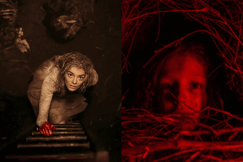 準備好你的萬聖之夜了嗎？一次筆記 Netflix、Disney+ 10+ 最應景驚悚恐怖片單！