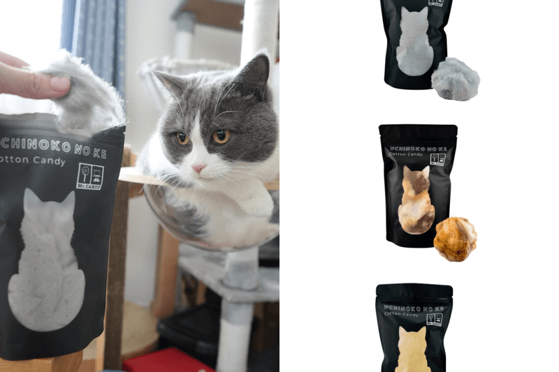 熟悉的貓毛球變成了甜食？日本 SNS 引起關注的「貓毛棉花糖」太可愛啦！