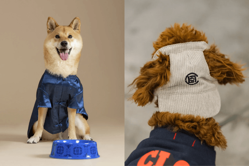 穿上中國服的小狗會不會太萌：CLOT 全新寵物系列，讓人忍不住又替毛小孩添新裝了！
