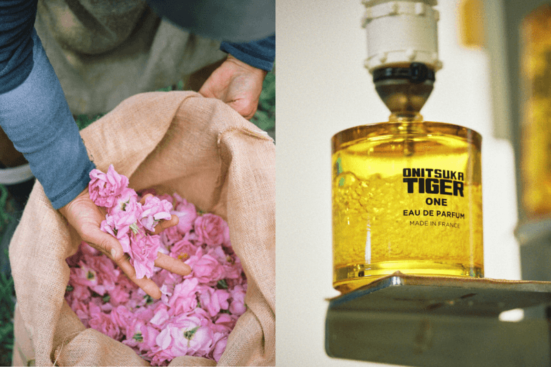 鬼虎塚不只賣鞋：ONITSUKA TIGER 首個香水系列登場，4 款新味道你最喜歡哪一款？