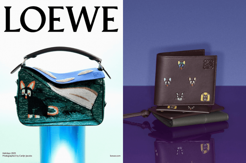 LOEWE 被怪誕喵星人佔領：這回 Louis Wain 聯名系列，又該是貓奴們出動的時候了！
