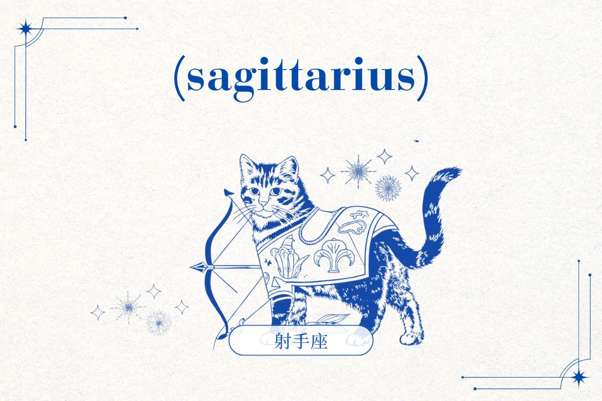 2026 十二星座運勢全解析：在新的一年找到屬於你的節奏與方向