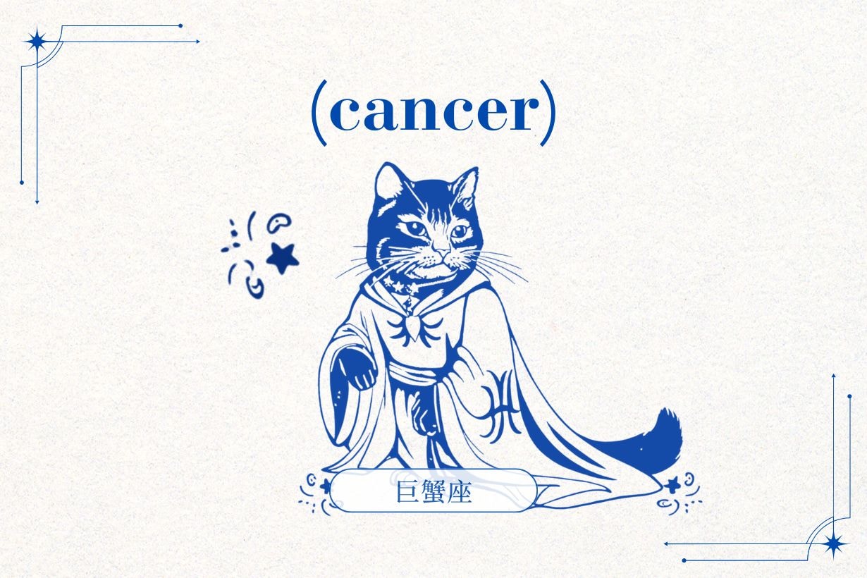 2026 十二星座運勢全解析：在新的一年找到屬於你的節奏與方向