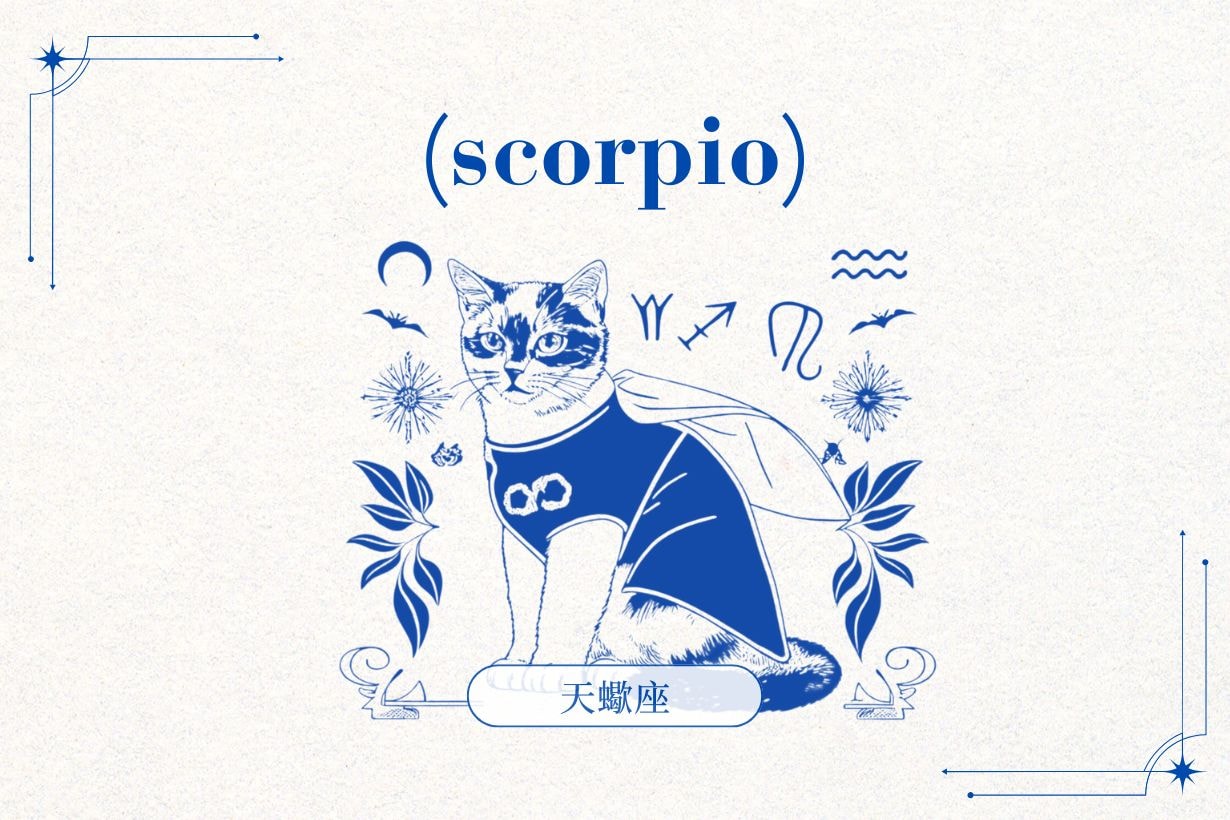 2026 十二星座運勢全解析：在新的一年找到屬於你的節奏與方向