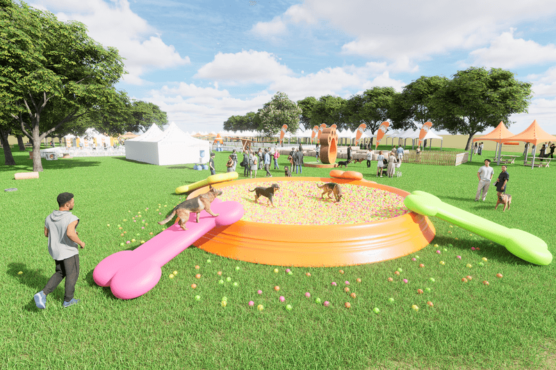 POPBEE Circle 會員福利：與毛孩盡情放電！送你全港最大戶外狗狗嘉年華 Doggo Fest 2025 體驗名額