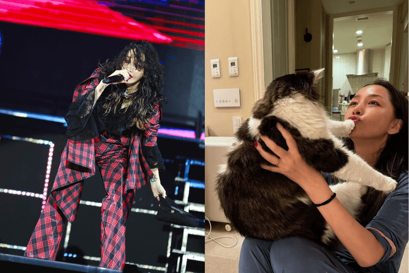 中島美嘉 2026 北流開唱！沒想到「NANA 歌姬」私下這麼反差萌，這趟台灣行讓粉絲再度愛上她