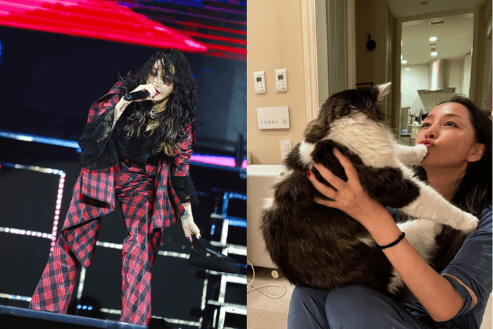 中島美嘉 2026 北流開唱!沒想到「NANA 歌姬」私下這麼反差萌,這趟台灣行讓粉絲再度愛上她