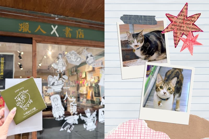 POPBEE 路線推介：深水埗 8 間小店的貓店長！