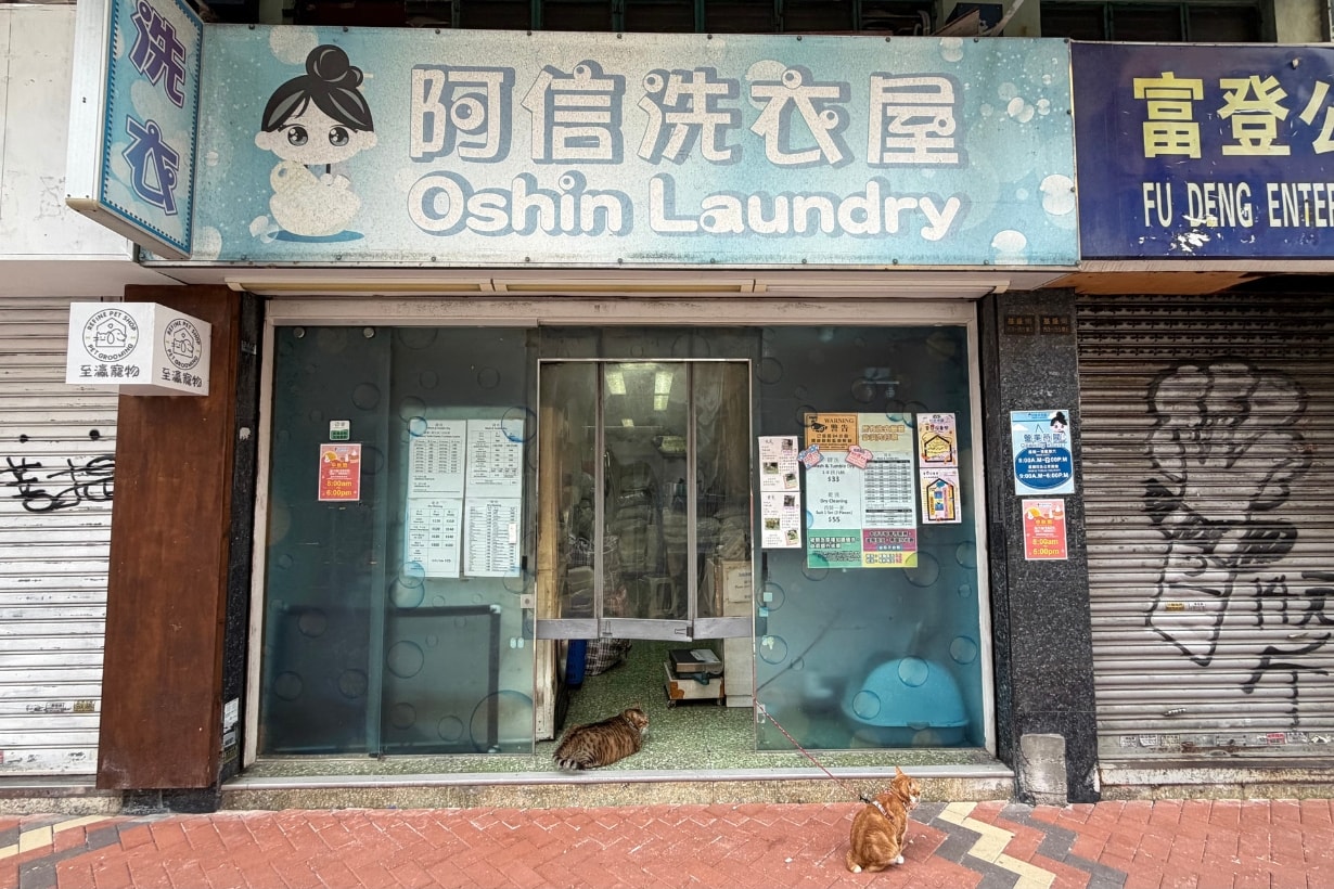 POPBEE 路線推介：深水埗 8 間小店的貓店長！