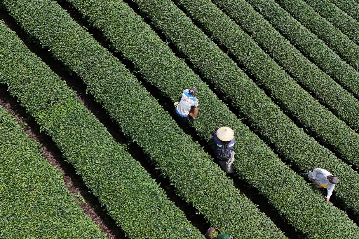 Jiho Teaworks cafe!n bubble tea taichung first store highlight unboxing