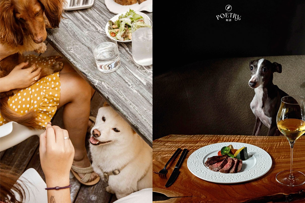 poetry dazhi brunch bistro pet friendly taipei