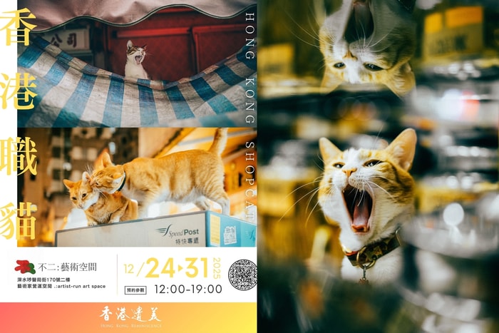 無聲但充滿溫度的陪伴:走進深水埗「香港職貓」相展,感受老舖與貓咪之間的溫情